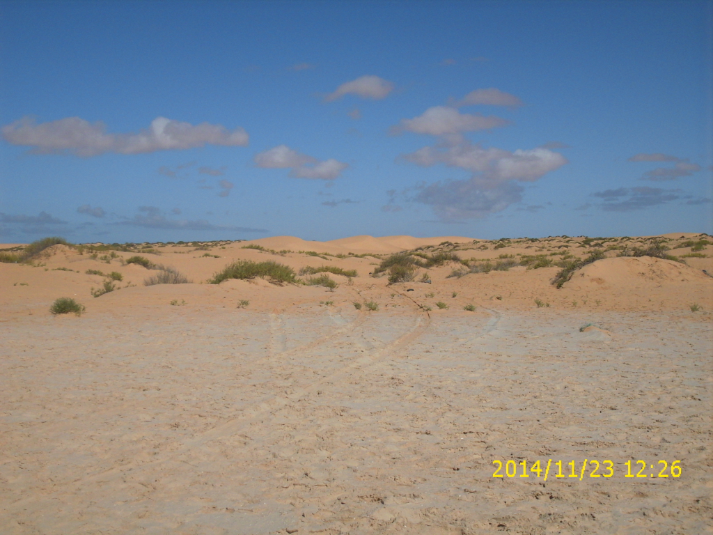Blick vom strand in die Wüste