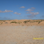 Blick vom strand in die Wüste