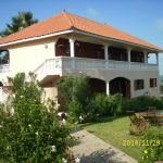 DSCI0050