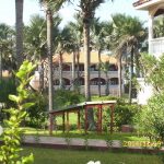 DSCI0051