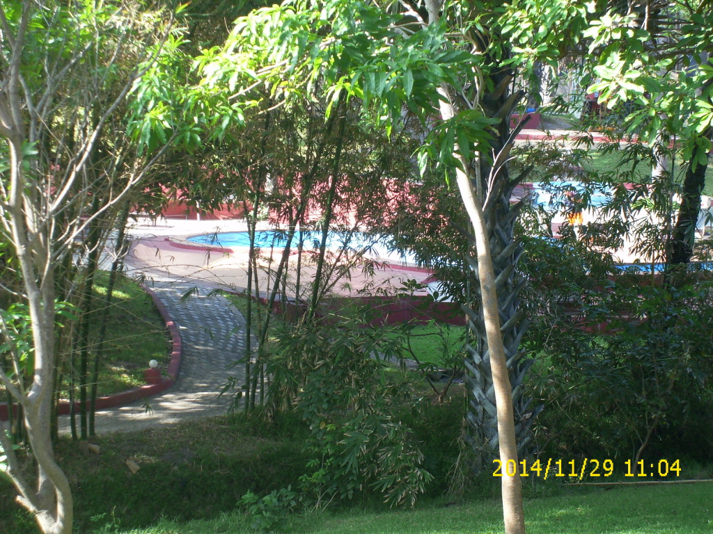 DSCI0053